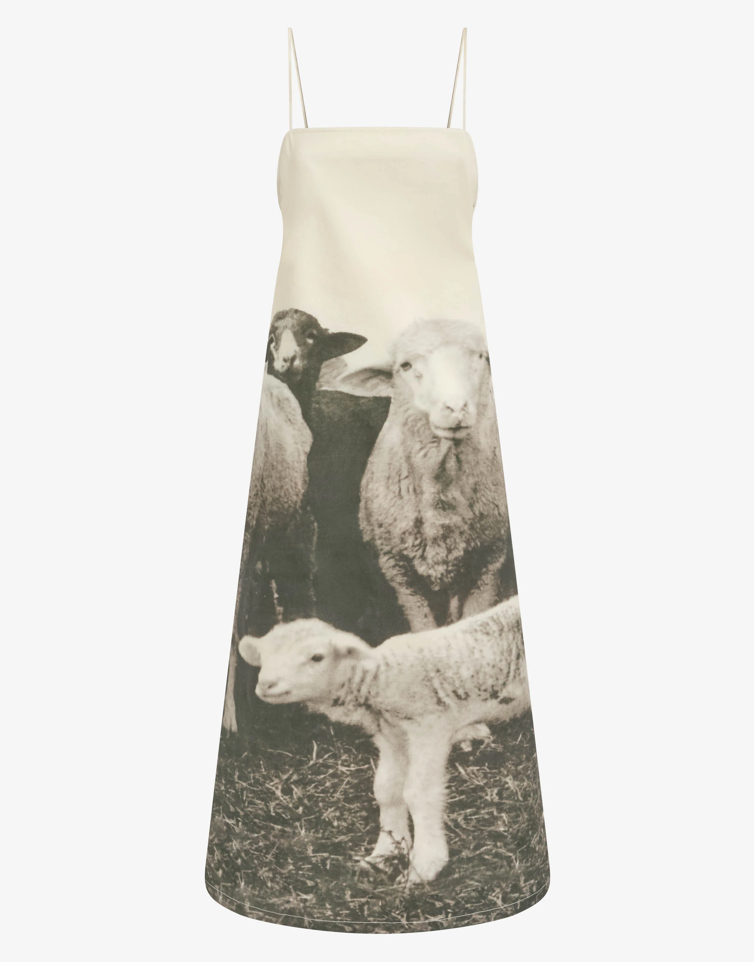 Printed cotton gabardine dress - Image 4